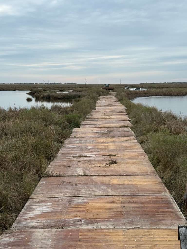 Bamboo access mats laid across saturated marsh ground at a US wildlife refuge